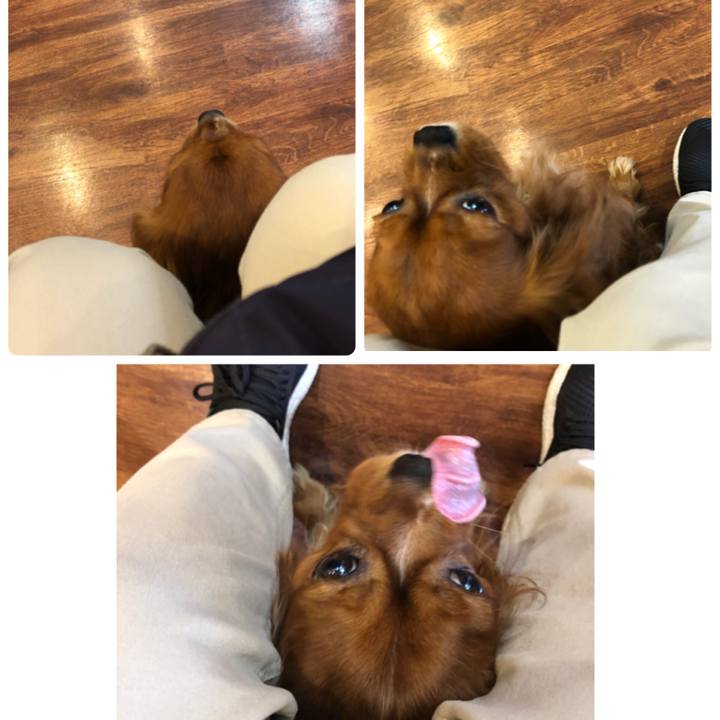 21a93d53 a911 4e5d a770 d39ac4bf5fe8 1529712197563