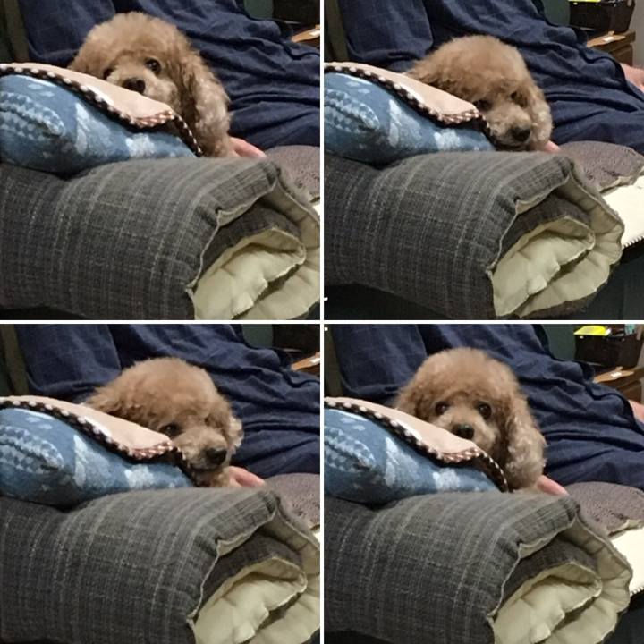 21a95835 e65b 40d9 b157 794b414f9ff6 1548681694935