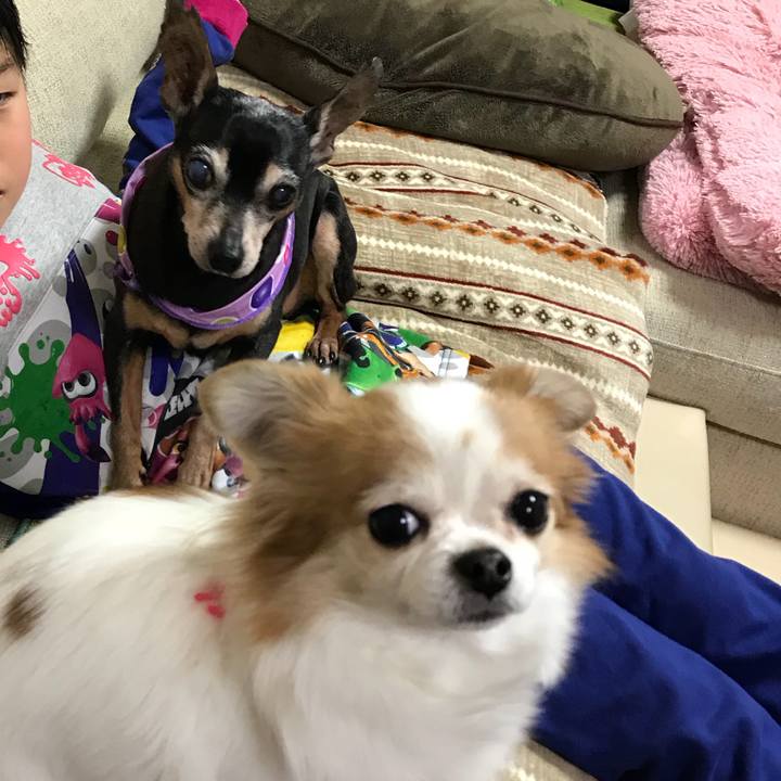 21a95f79 de01 4dcc 965e a122e3e77cbc 1549720825852