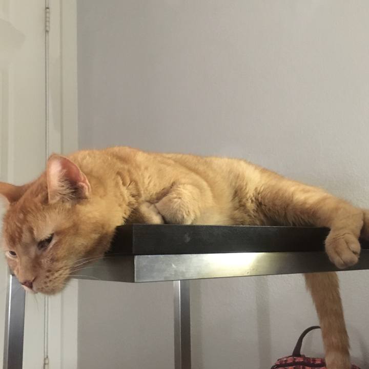 21a9cbc4 7072 4af7 97f5 44c51219143e 1633872244207