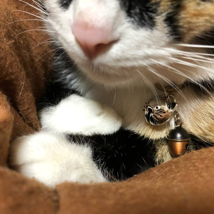 21a9d7e2 80a4 4c17 9093 93b475230c6a 1562220012153