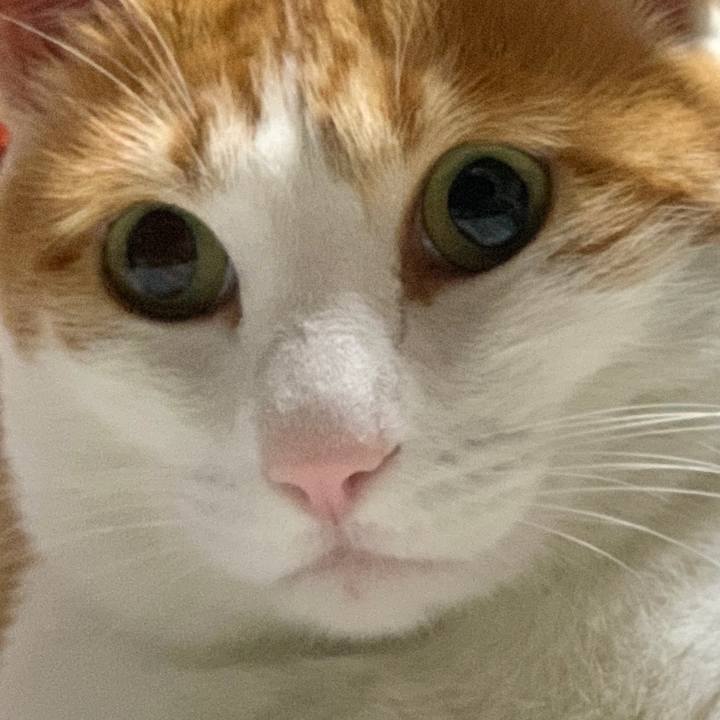 21a9e509 0c19 4ef1 8311 174a8bb7ac29 1577370517138