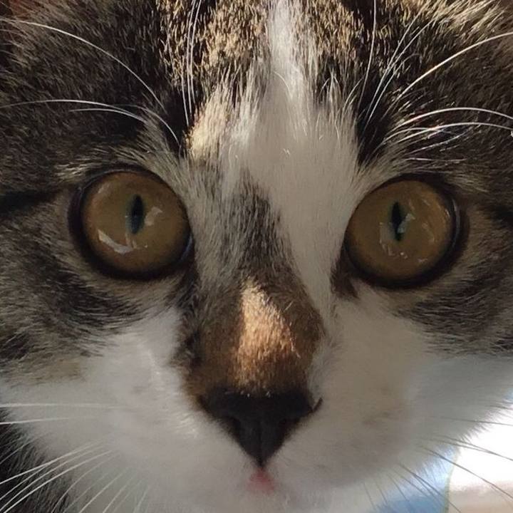 21aa028f dcba 4bc2 a6cd 18796c123c59 1605620592051