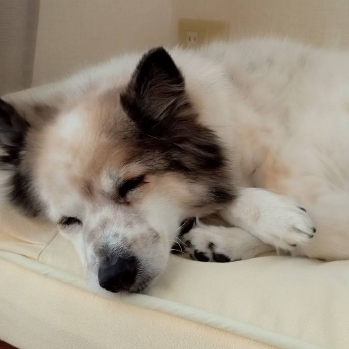 21aa0379 8e2f 4743 b232 cbf77a1a1303 1636455590284