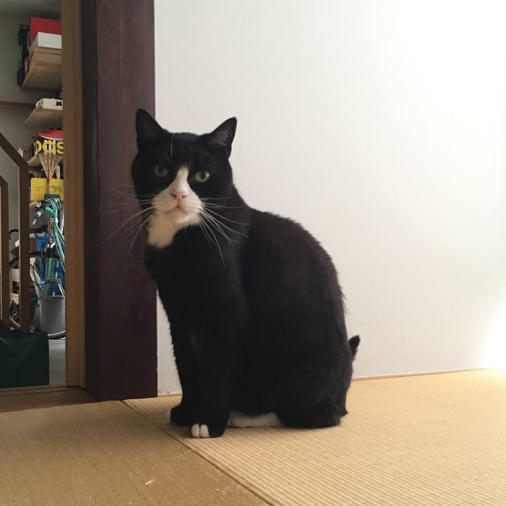 21aa232a b183 4f0f 8581 99446976e3f4 1563682094108