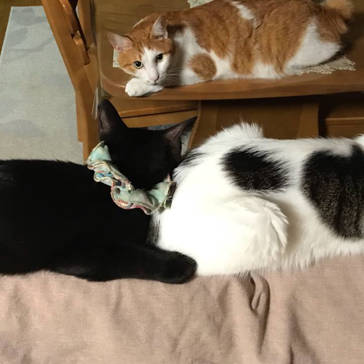 21aa2e8d 7c47 4739 b74e ae5cab87f136 1567162664776