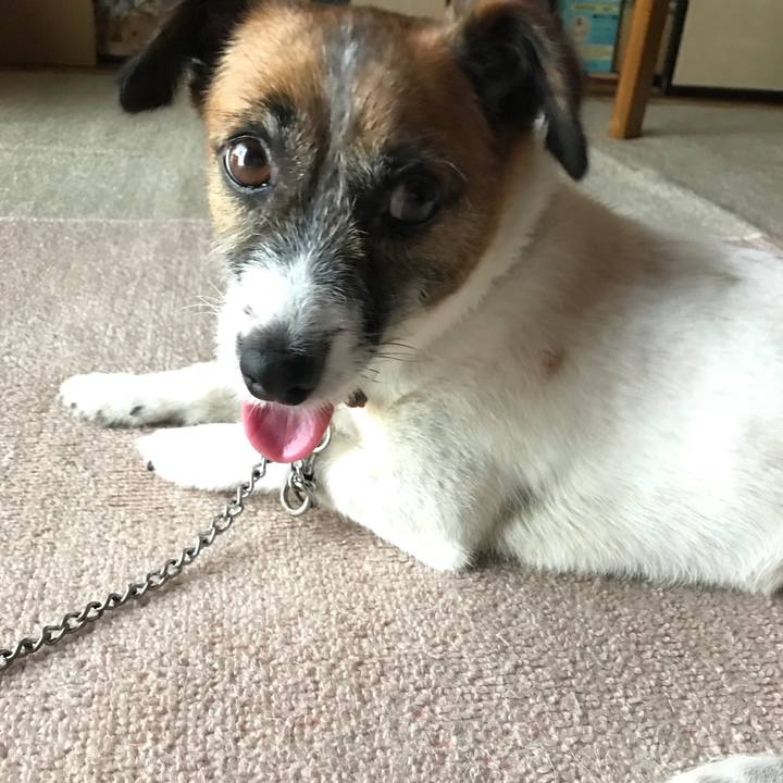 21aa3b76 21d0 4a03 be18 aa7d47448474 1532240758813