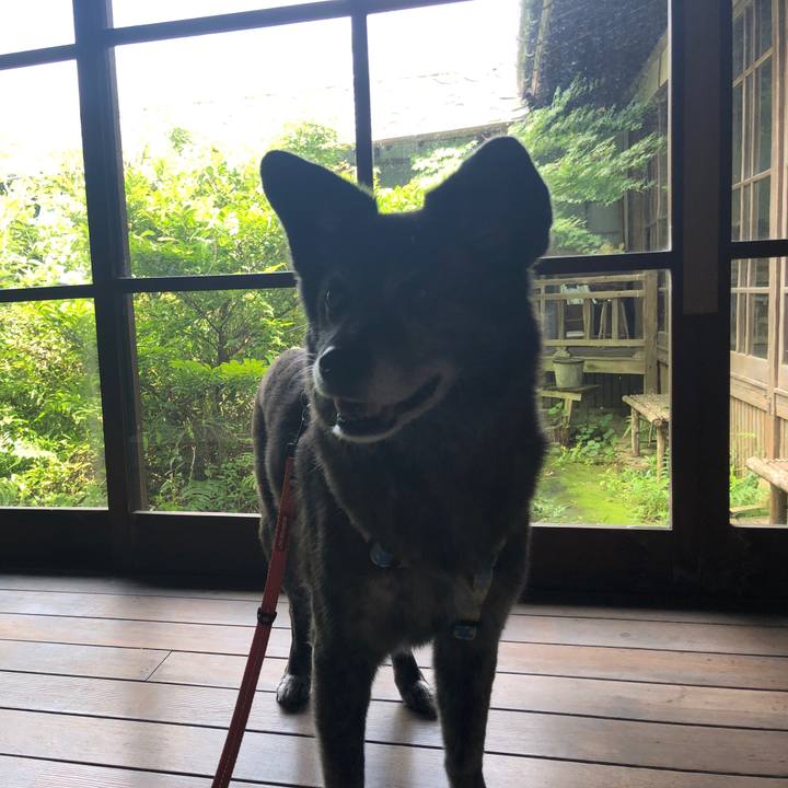 21aa6c1f 9c5a 49e0 8aaf 1a691c984833 1690203385806