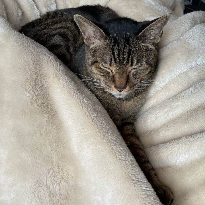 21aa73f2 b411 4f36 b53a 593c8308d7b3 1617757895205