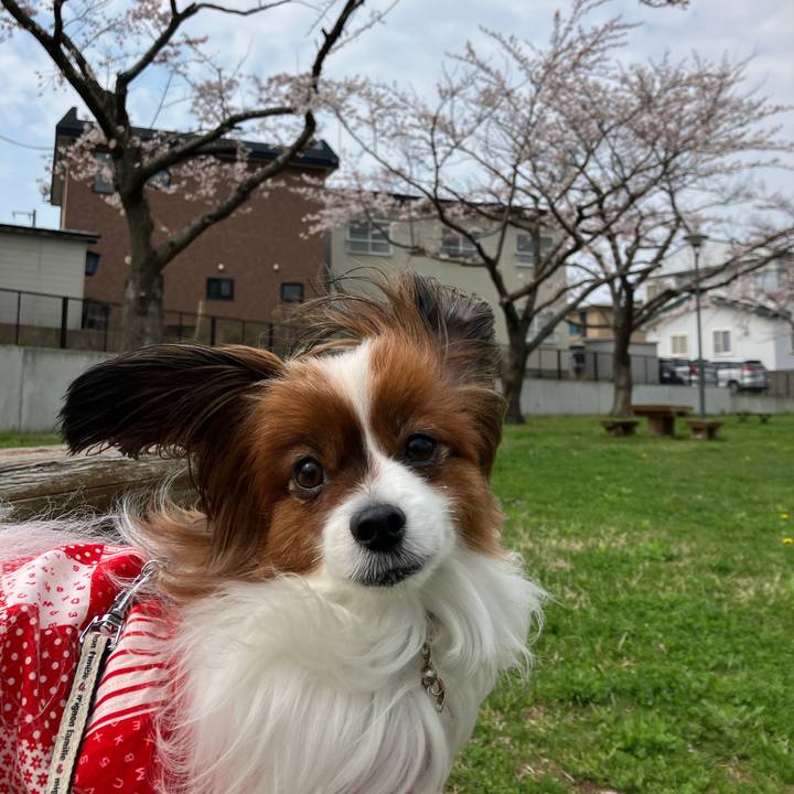 21aa9574 84fa 4464 adef a8095ab4e2f4 1745629208070