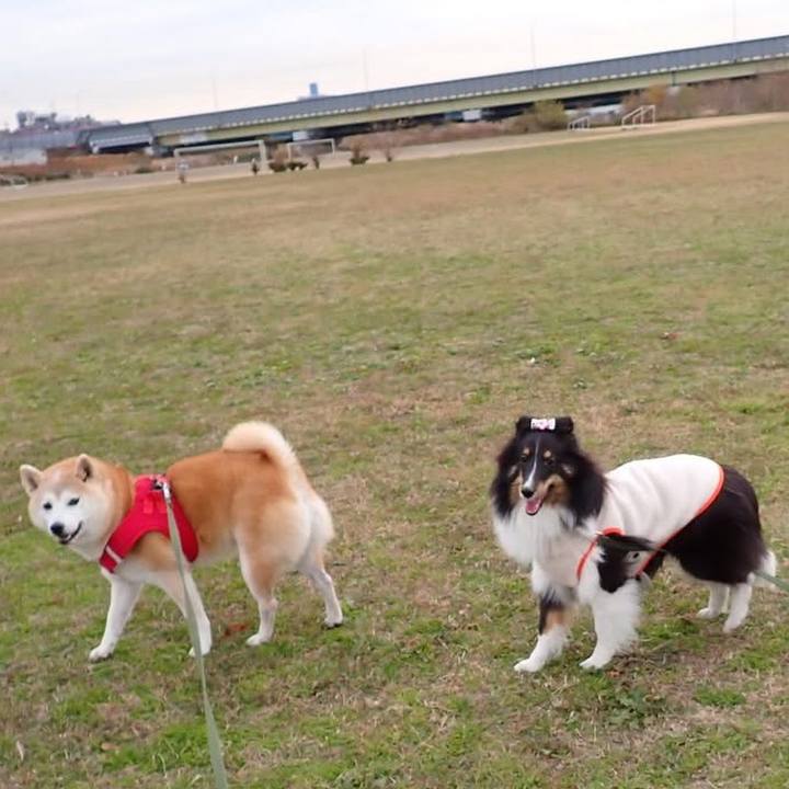 21aa99da ca0e 40ee a556 8b5d1fd2cbdb 1734640338324