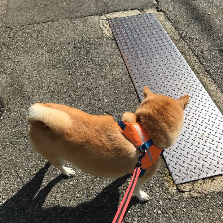 21aac411 409b 48f9 8ecf 47bcf03f09e7 1541422579606