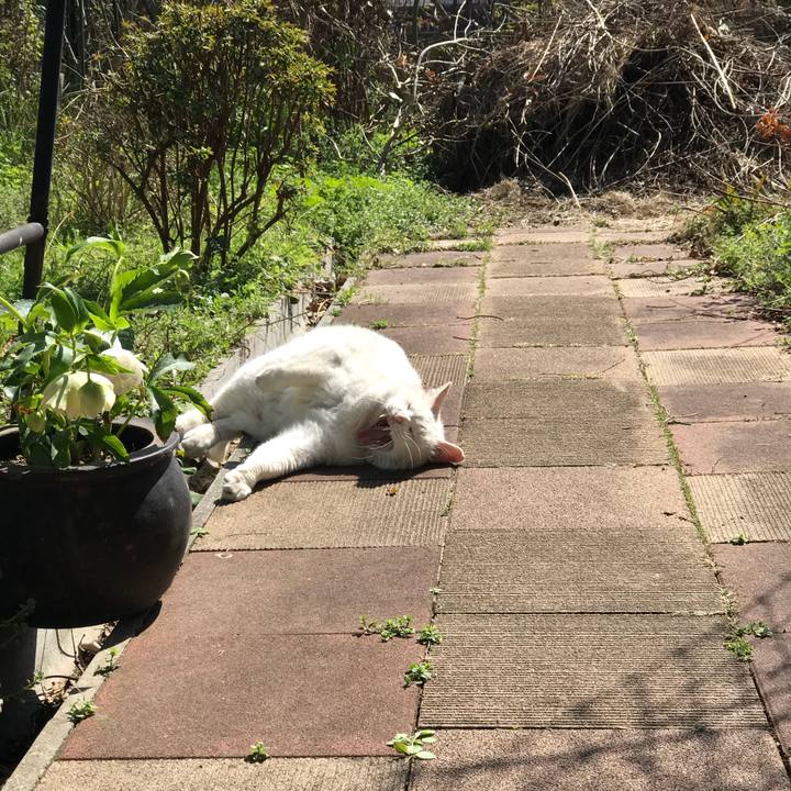 21aad1f4 6db9 4fca 843e 9d1ff72ac973 1520657255568