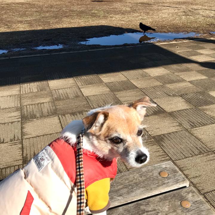 21ab0ad9 d728 4b1d 991c 9b95e6c7d820 1611883210316