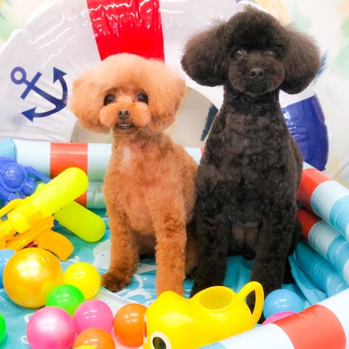 21ab0afe 1f83 4dcd b685 5c294eb5cb08 1628002171451