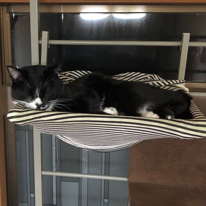 21ab6320 9265 45cd 9b68 5f8bd6953dbd 1543144358819