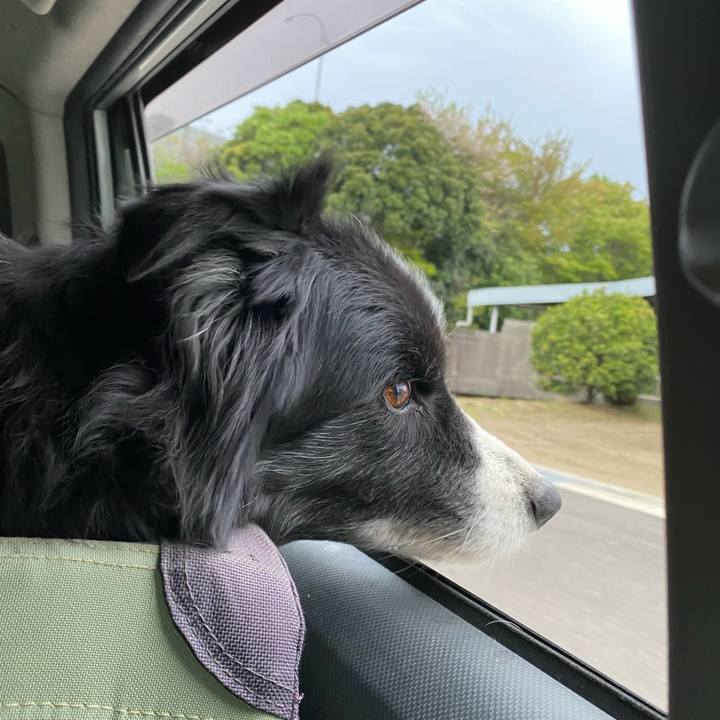 21aba539 10c1 4c57 84f8 93d651e4674f 1680645674095