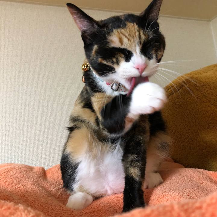 21abb03b 9e1d 460b bda8 06b203d719e2 1571226831004