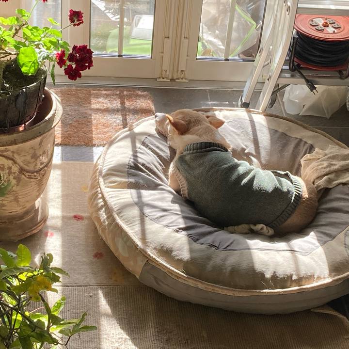 21abbaa6 ab88 418f b868 88c901c8ed3e 1704724850354