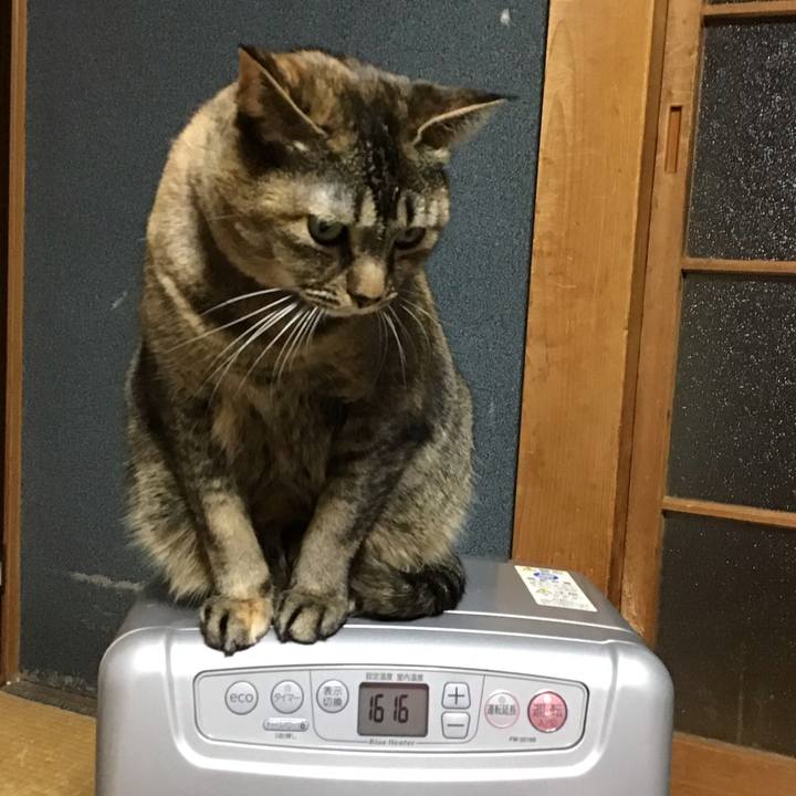 21abc4af a392 4ef5 ab6e 51bef89ea350 1706270461399