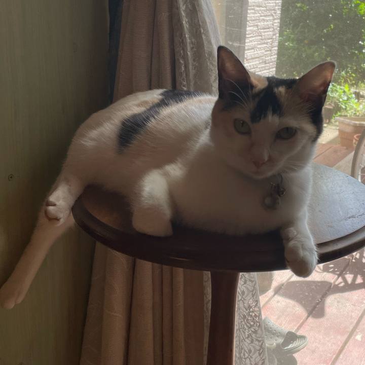 21abf153 17ff 4621 82f1 f36bf3744138 1695518170689