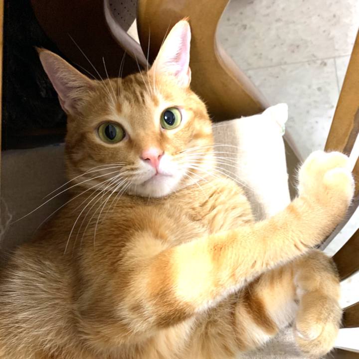 21abfc54 3f79 4b3e 8f32 39e661a4ea8f 1574203750903