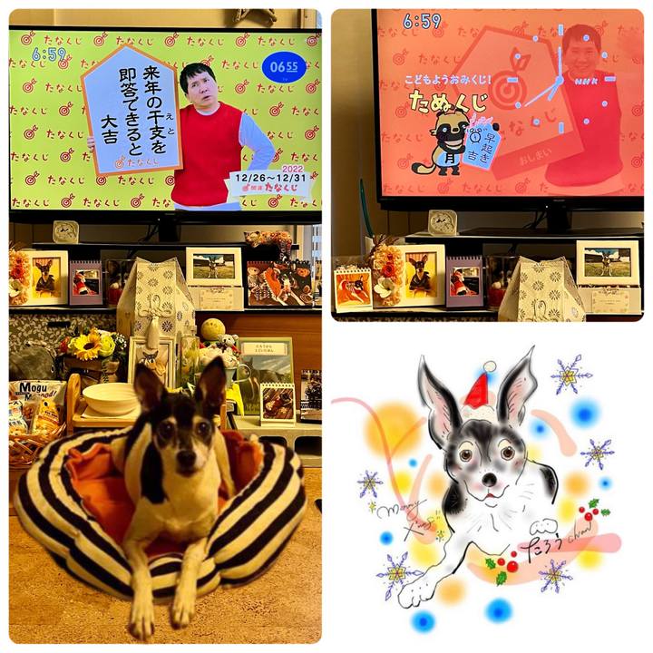 21abffb6 fa4e 4f26 8241 f779b5e71d39 1672009971662