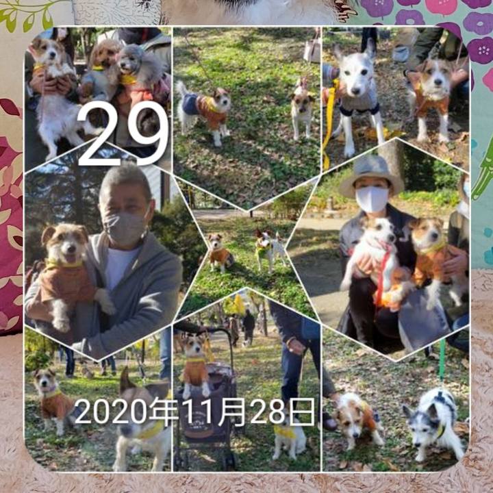 21ac0989 2341 4c8d bf00 aabd16485a94 1701244728589