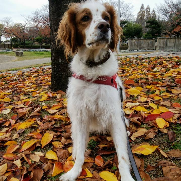 21ac400a 2f3a 4d0f a4d9 b89da03b0599 1543839184760