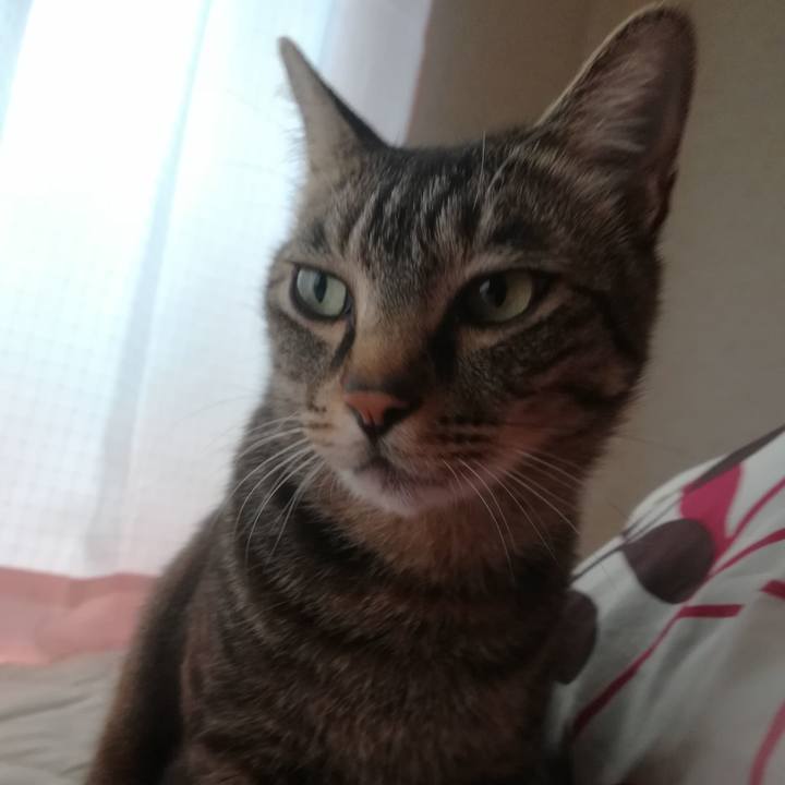 21ac43ee caaa 4b4f a481 11fdf2d7e948 1528925162970