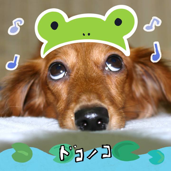 21ac4714 6348 41b3 92bb 6534e1306649 1718291641234