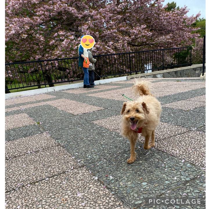 21ac71e6 732e 4f1e 8f78 940c5eea8d82 1684555839915