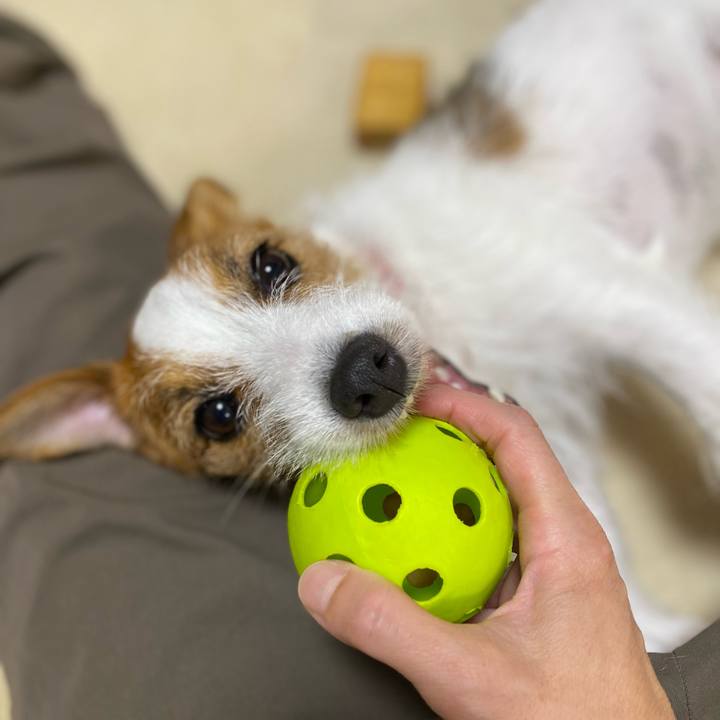 21ac938d e098 4652 8728 614e0bbfe703 1658314784481