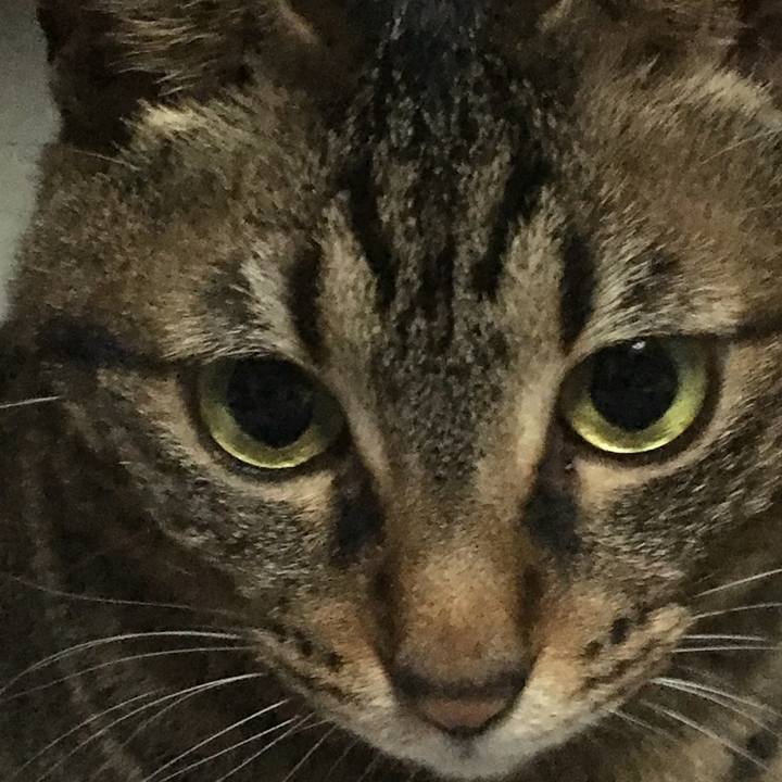 21ac9da3 9d35 4bc6 84e5 ba3c1199a1bc 1526126010559