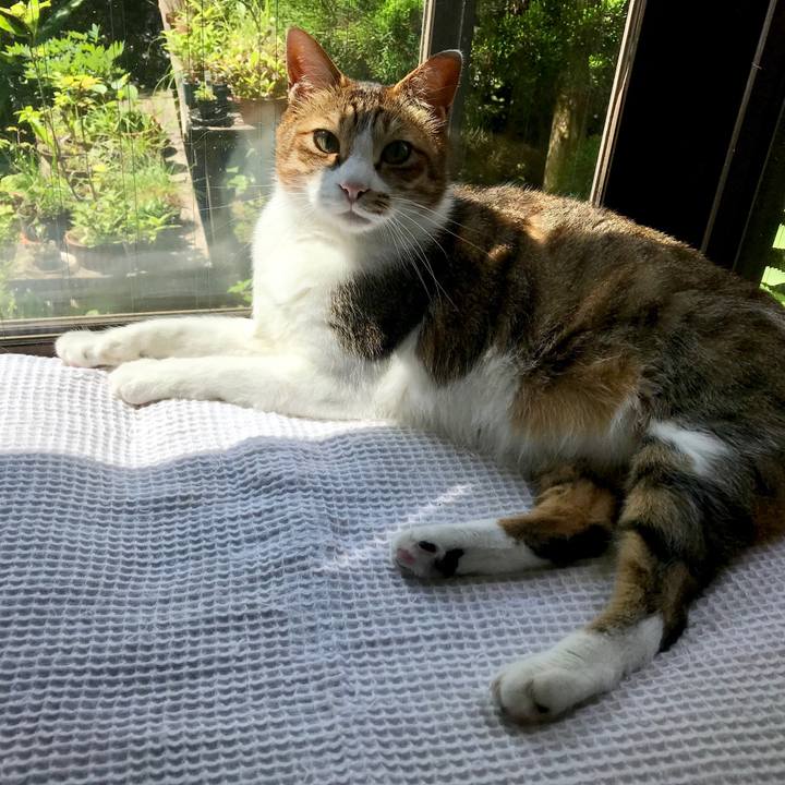 21ac9fb9 5a3d 41db bceb 28a76c097137 1528000799710