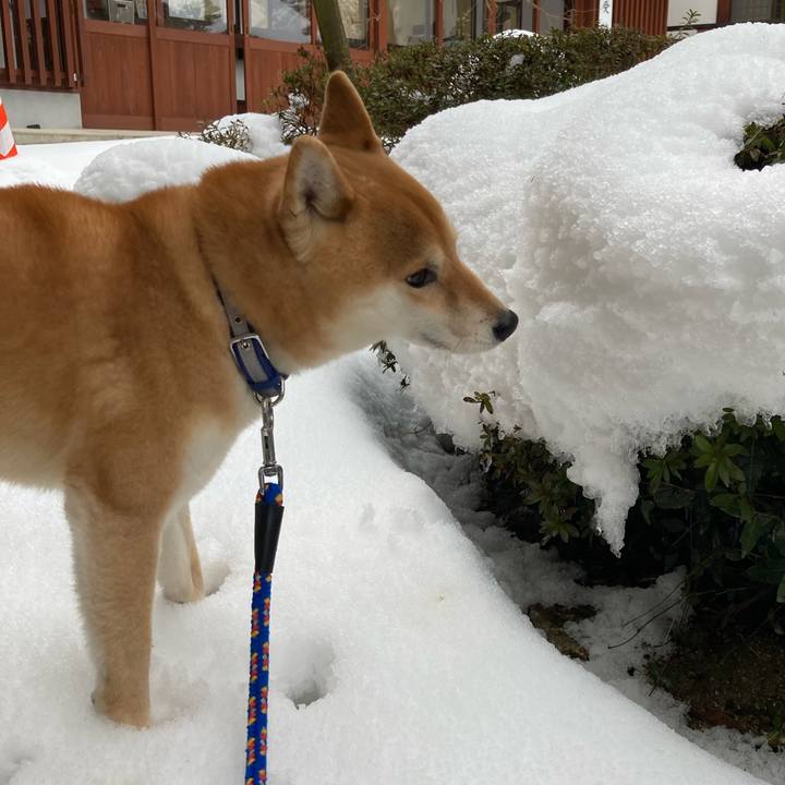 21acb229 c05e 462b a8a3 980e27e8f1d2 1645171654157