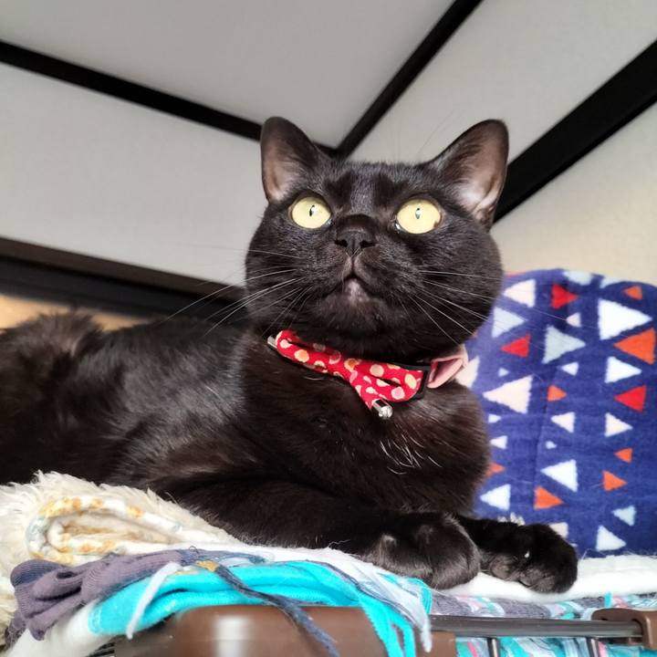 21acbb22 b46b 4347 8501 7cd95ad9df76 1644965286246