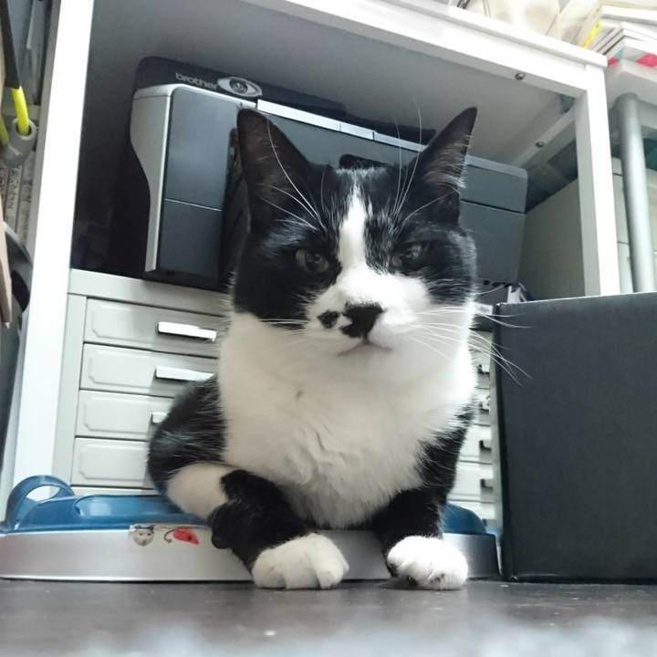 21acd701 a975 48c3 a6b3 fa00b4b3c8e4 1527605817875