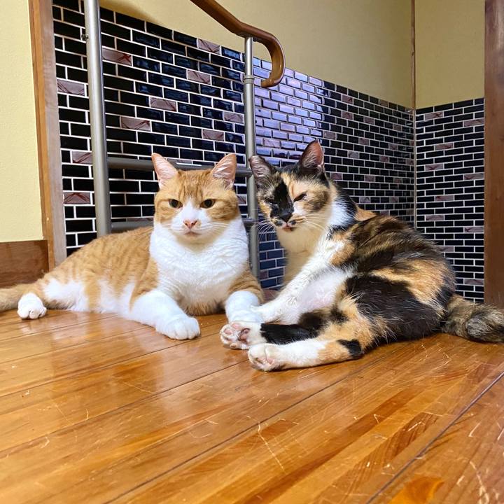 21acde37 0ae1 4d2b a291 dc001a01bf31 1661900584308