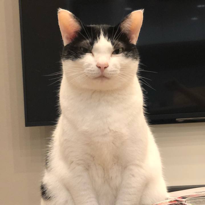 21ad1ea5 5d66 4c56 8b95 2df4c1cf221d 1632829331762