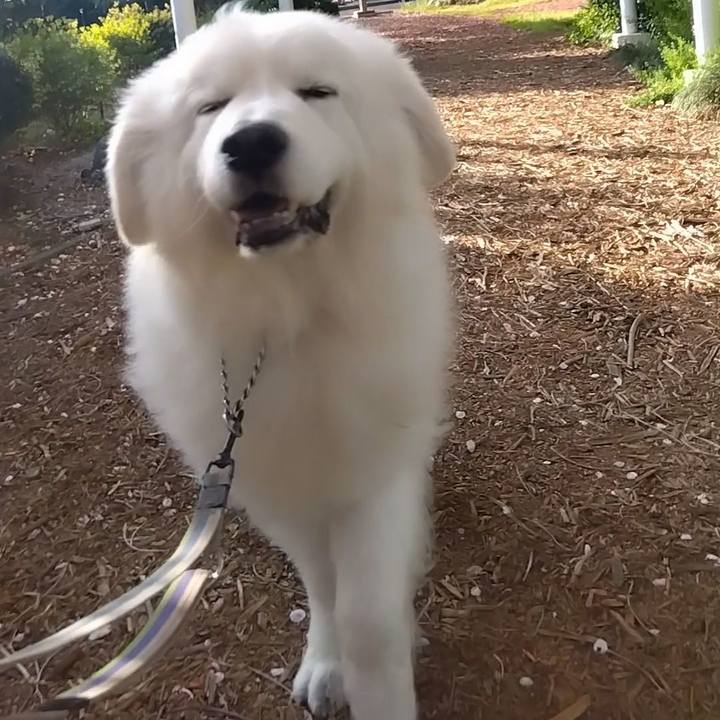 21ad354b 932f 4256 856b 1503d3f4a479 1681255122150