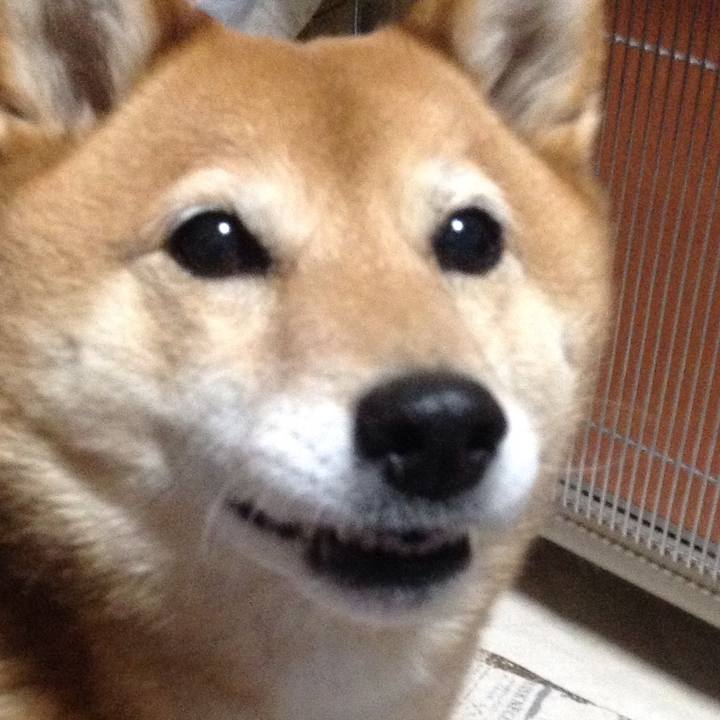 21ad3e0c ca72 49ca 8b07 aae83b035ebf 1523265913133