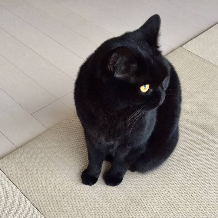 21ad6589 7c09 433e 9f27 ac9e95e34bf1 1553321778084