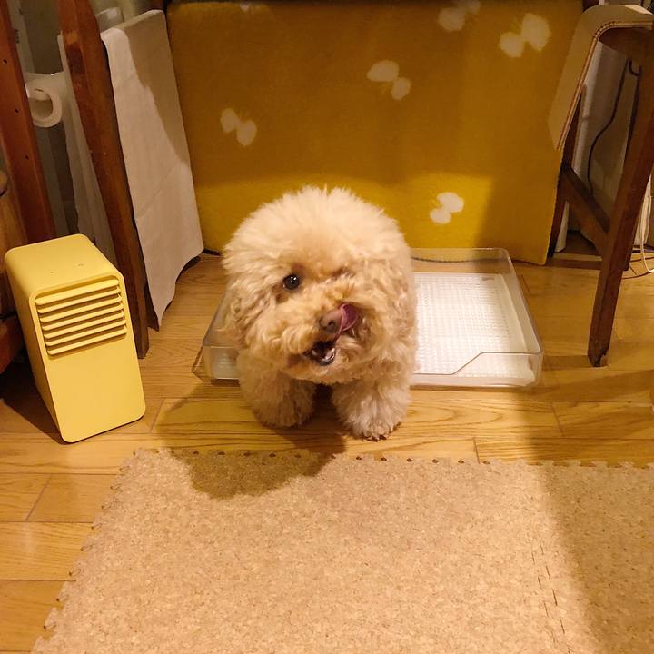 21ad94be c453 4001 8712 b9b4158c16c8 1513810481861