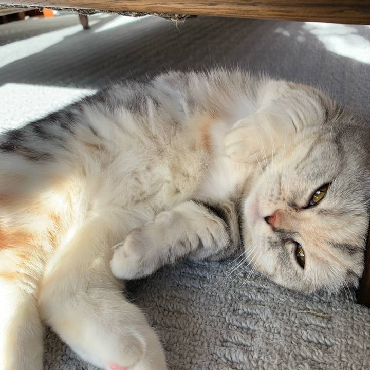 21adc990 cef5 48dd bce8 1933a87d0ec3 1708213267385