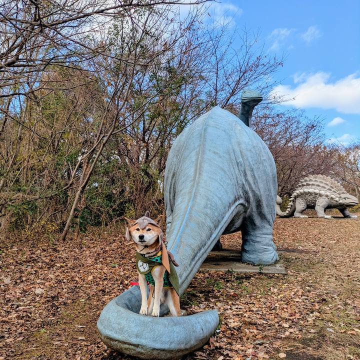 21adfdb3 b42b 49a9 92c6 e23d631dae9f 1766120278316