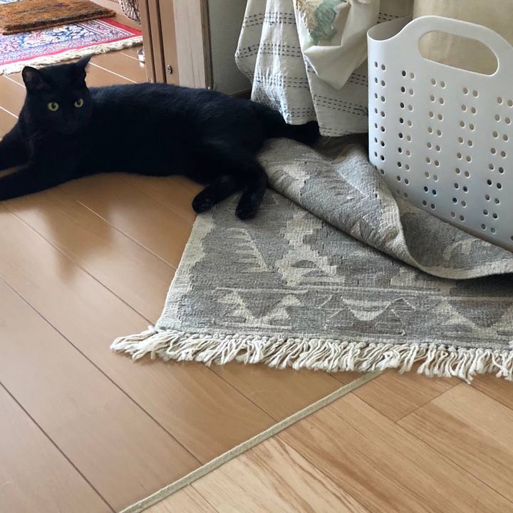 21adff7f 8814 4af5 af52 fe2a4d659ce9 1532169049939