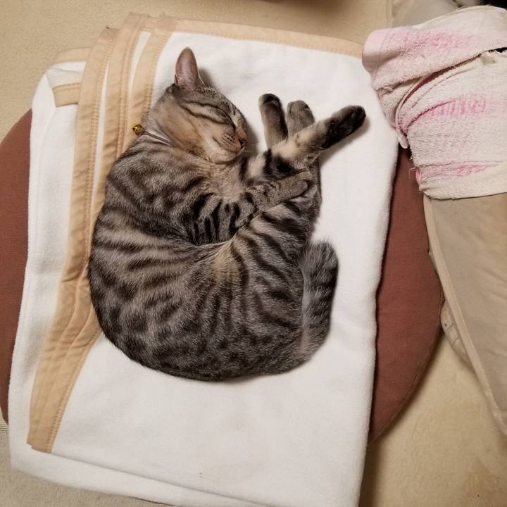 21ae0148 51ea 4750 b53c fdab3743a52c 1676421323483