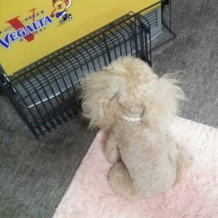 21ae1eea 9205 428a 91ad d78d549f1279 1525995403930