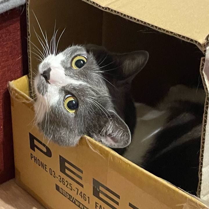 21ae5aff 0289 4ade 936e 413f4243f0a3 1657455113044